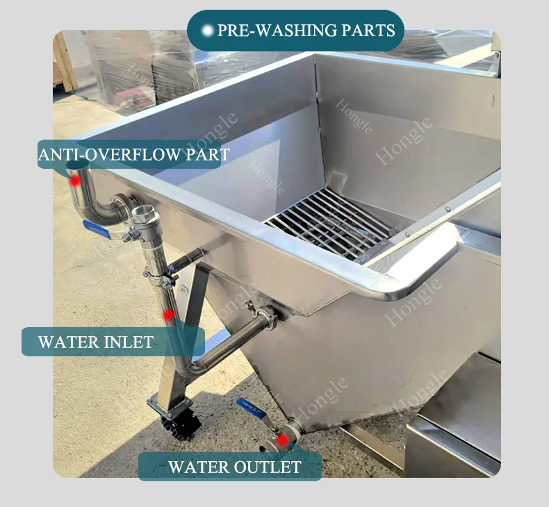 Stainless Elevator Bucket Washing Conveyor Belt Assembly Line Potato Carrot Ginger Presoaking Fruit Conveyor Elevator Machine details