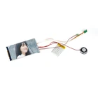 Tft Lcd Module Video Low MOQ 7 Inch HD Tft Lcd Module 800*480 Resolution Small Screen Video Play Brochure