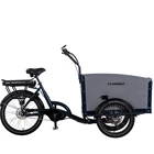 Cargo Bike 2021 Big Front Box 3 Wheels Electric Tricycle Bakfiets Cargo Bike For Tricycle
