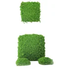 Garden Real Sell Well New Type Garden Artificial Decoration Preserved Real Moss Home Decor