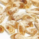Citrine Natural Bulk Gemstone Healing Brazilian Yellow Quartz Crystal Rough Citrine Stone