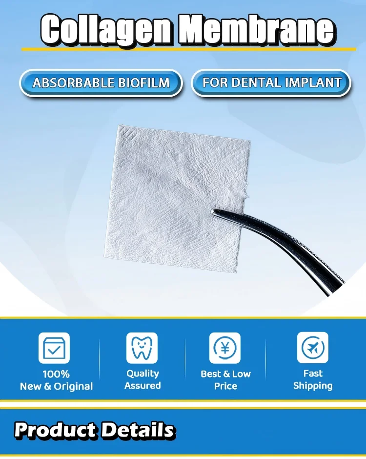 GTR Adult Oral Cavity Repair Membrane Medical Collagen Absorbable Biological Dental Implant supplier