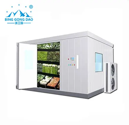 Cold Room Storage, 20Ft, 220, R22 - detail 12