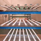 Led Strips Lights 2021 New Design Hydroponic 800w Led Strips Grow Lights