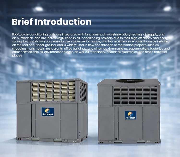 Bestcold Rooftop Unit, Inverter, R32 - detail 4