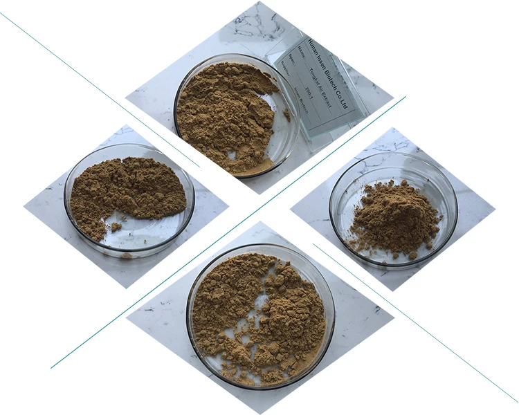 Hot Sell Tongkat Ali Powder 100% Natural