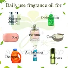 Free Sample Concentrated Delicate Perfume Fragrance fragrance oils used for air freshener and car perfume