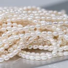 Necklace Pearls Pearl White Boho Fresh Water Irregular Necklace Pearls Real Pearl Necklace Natural