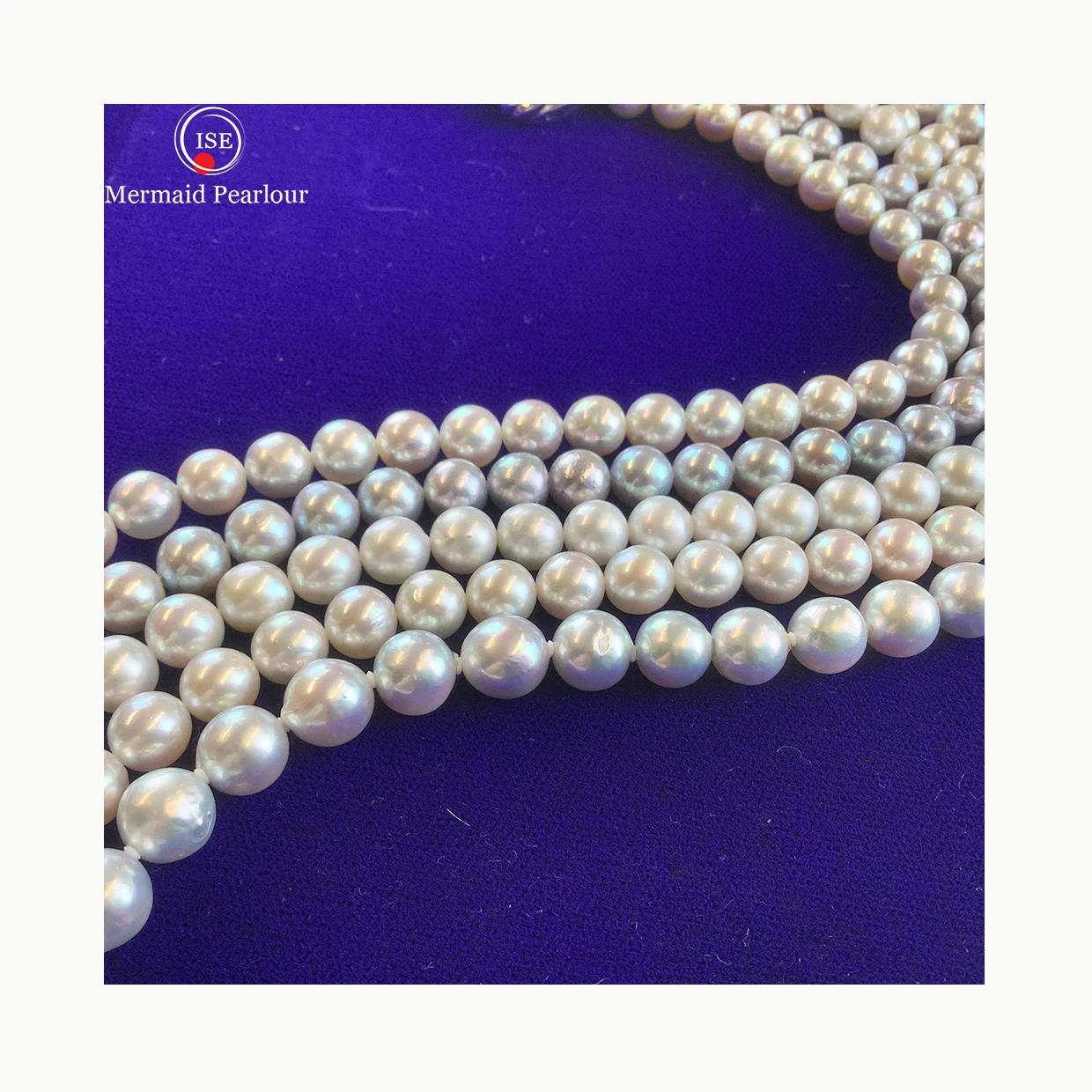 Pearl Necklace,Japanese Akoya Pearls 