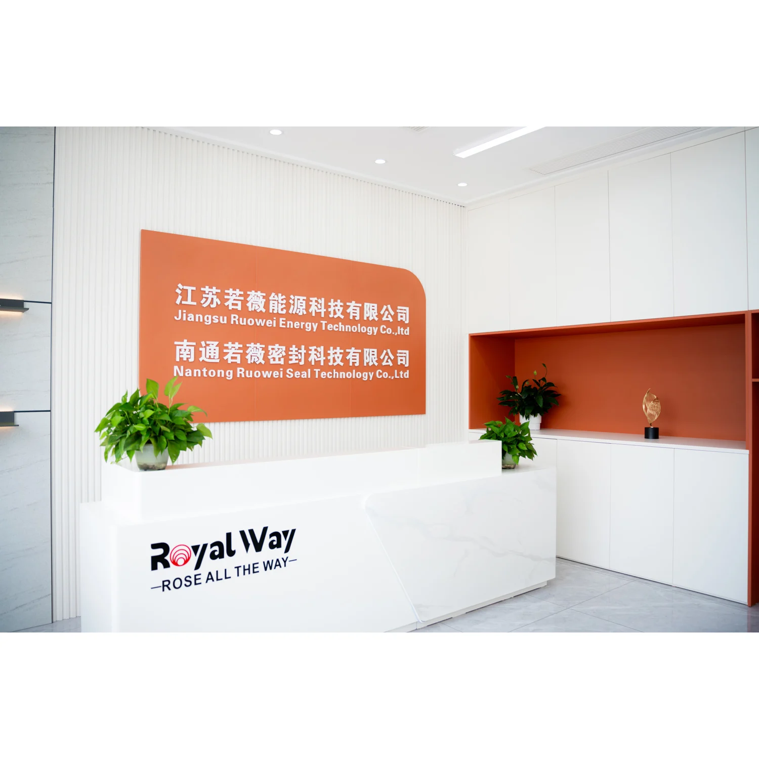 AS568 Standard Silicone O Ring with Customized Color and Food Grade Certification