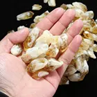 Citrine 2020 New Arrivals Nature Gold Crystal Rough Citrine Dragen Teeth Single Point