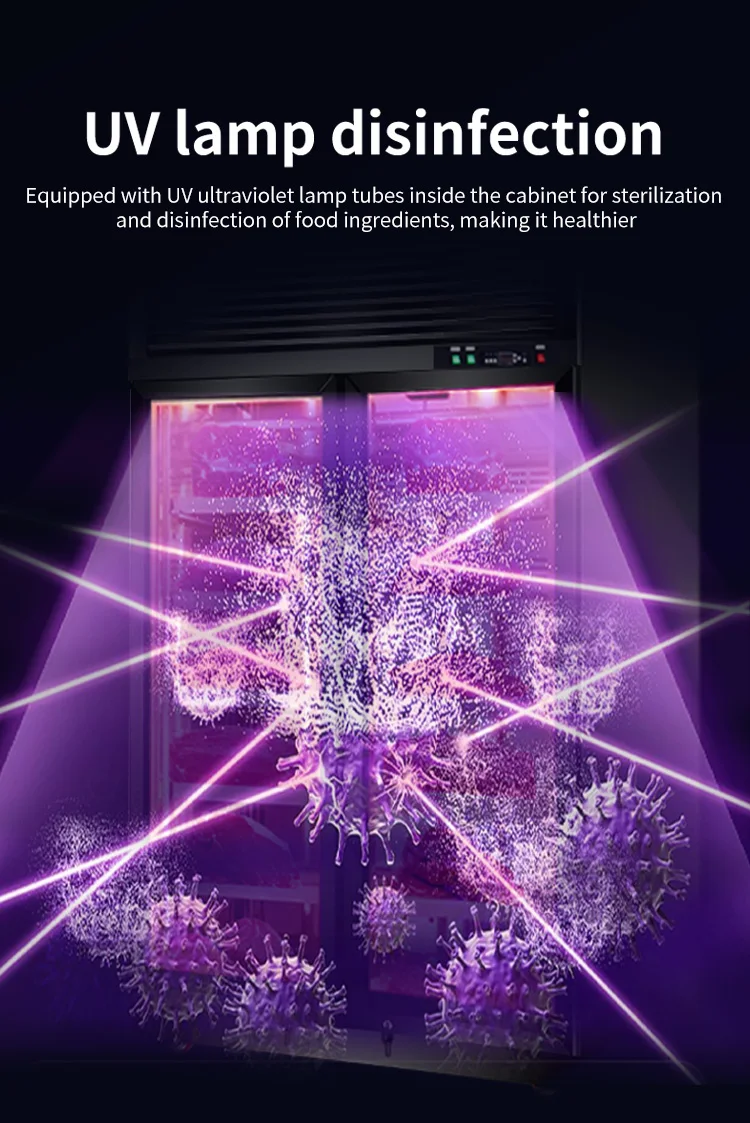 Kitchen Dry Aging Refrigerator, 220V-240V, R134a - detail 12