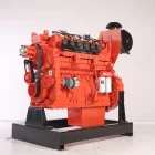 Gas Gas Cummins Natural Gas Engine 300kw/375kva
