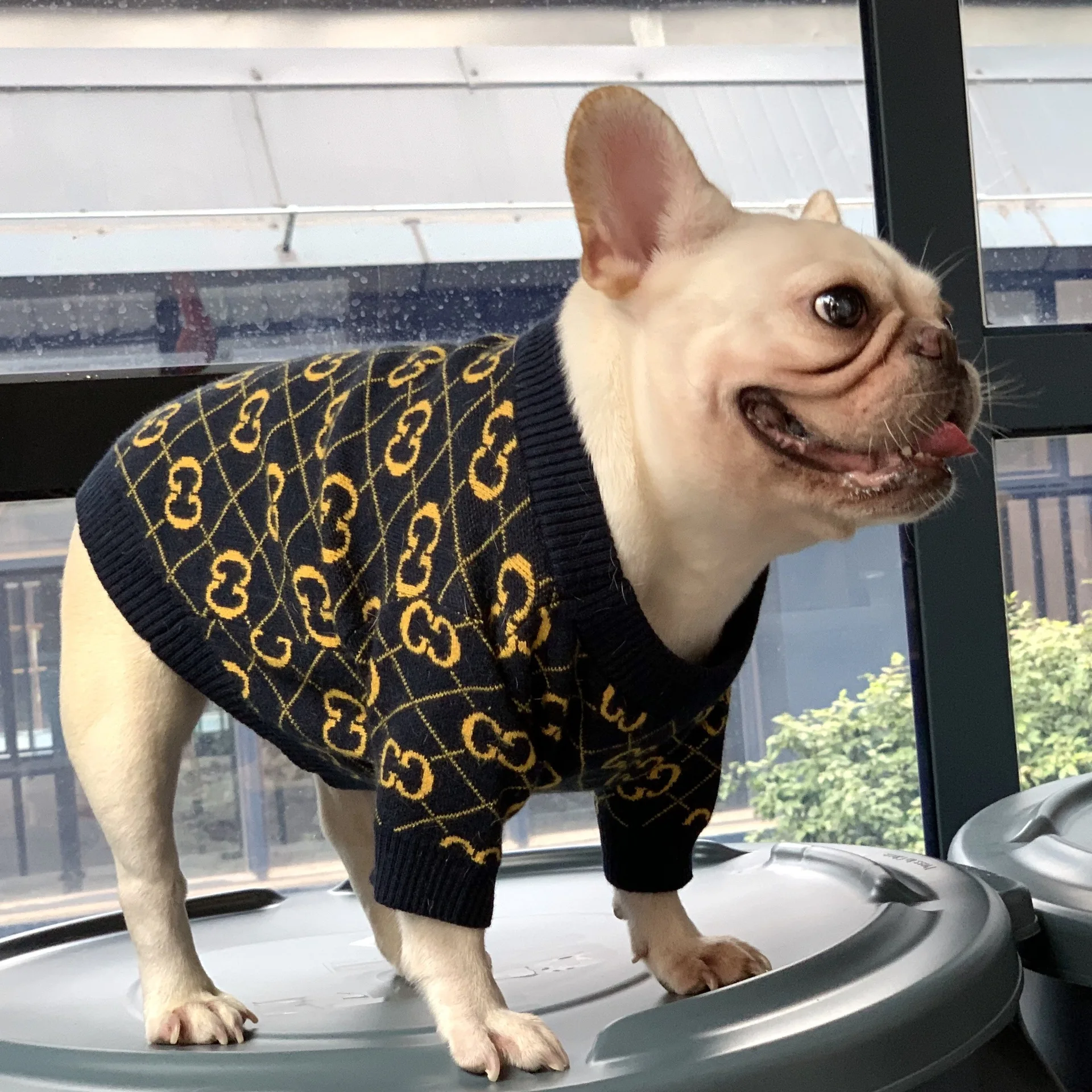 Street Style Dog Sweater Luxury Brand Classic Dog Clothes Designer