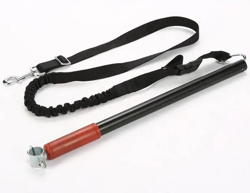 dog lead bike attachment