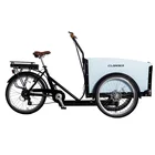 3 Wheel EU Hot Sale 3 Wheel Electric Cargo Bike Tricycle E Cargo Bicycle