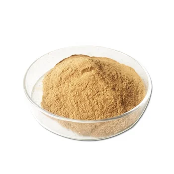 Factory Supply Pumpkin Seed Extract 10:1