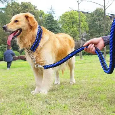 Dog leash rope (16).jpg