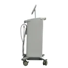 Wholesale Durable Multifunctional Facial Lift Hot Maggie Electronic Beauty Apparatus