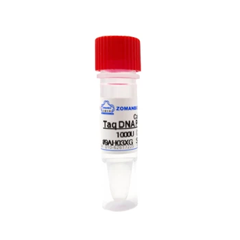 Taq DNA Polymerase for PCR Amplification Good Enzyme Activity for DNA Labelling Primer Extension Sequencing Chemical Reagent