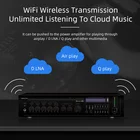 Wifi Amplifier Audio Mp3 Player Ceiling Speaker Amplifier
