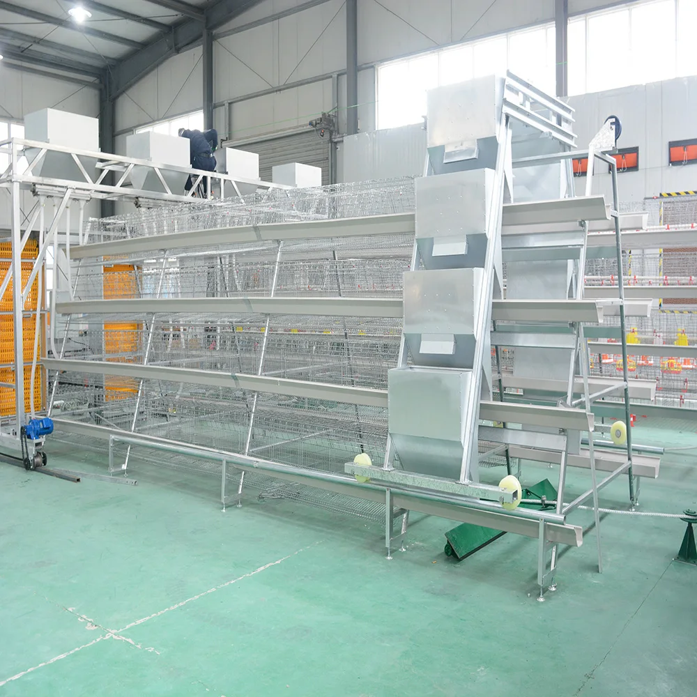  laying Breeder Cages