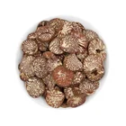 Nut Betel Nuts Areca Catechu L. BingLang High-quality Factory Direct Selling Betel Nut Slices
