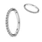 Eternal Metal 18G 16G ASTM F136 Titanium CZ Outer Side Hinged Segment Hoop Cartilage Earrings Body Jewelry