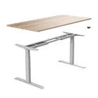 Stand Electric Ergonomic Dual Motor Height Adjustable Sit Stand Desk Electric Frame