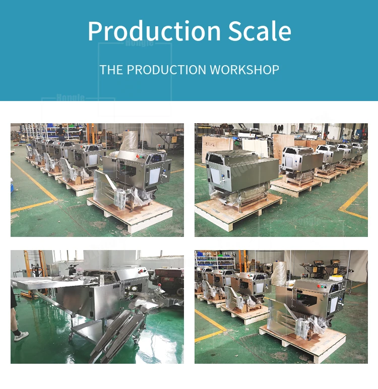 Liquid Egg Production Line for Small Egg Powder Making Pasteurization Machine Egg Breaker Yolk Separating Machine details