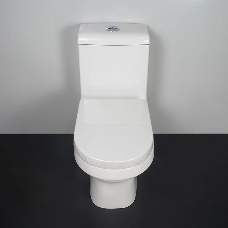 TARPUL Sanitary Ware Restroom Loo Water Closet WC Ceramic One Piece Floor Mounted Bathroom Wash Down Toilet factory