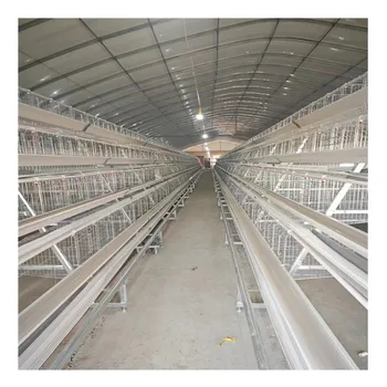 Anping County Yize - 10,000 Chickens Project Layer Chicken Cage