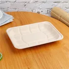 Plates Disposable Bio Bagasse Tray Sugarcane Biodegradable Plates And Tray With Nuture Color