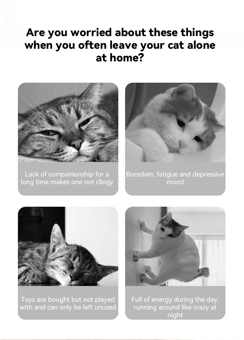New Tumbler Feather Cat Wand Toy With Catnip Glowing Design Relieve Boredom Interactive Play Toy for Cats Kittens Pet Supplies manufacture