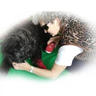 Medical Laser Skin Medical Laser Phototherapy Pain Relief Dog Cat Pet Skin Disease