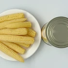 Corn Corn Top Quality Organic Wholesale 200g Per Tin Cheap Kernel Canned Sweet Tiny Baby Corn