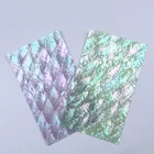 Abalone Shell Polished Natural Mother Of Pearl Craft Seashell Abalone Shell Sheet