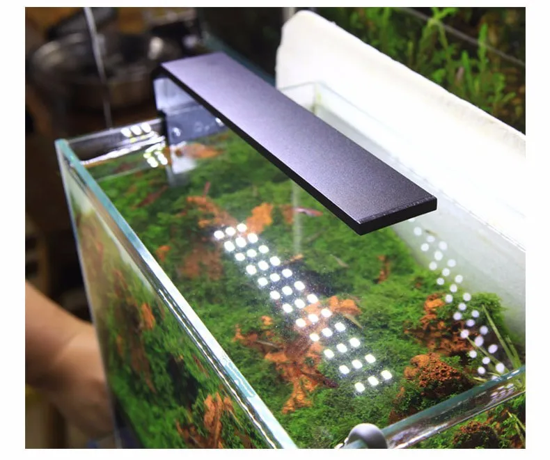 Chihiros C Series LED Aquarium Lamp - Full Spectrum Light