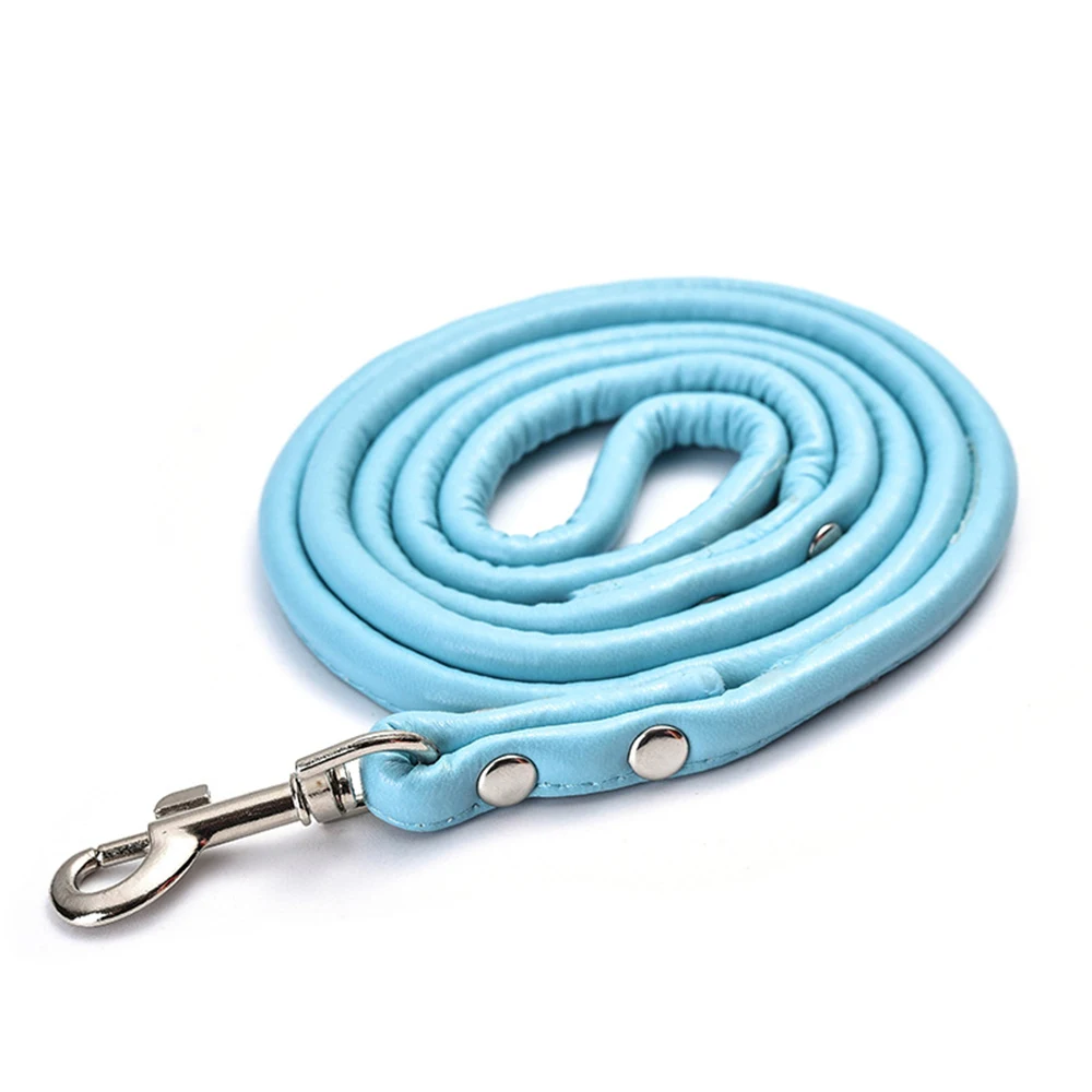 Blue leash