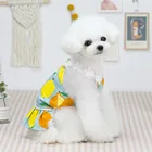 Dog 2021 Fashion Amazon Hot Sell Spring And Summer New Cat Dress Cute Small Dog Clothes