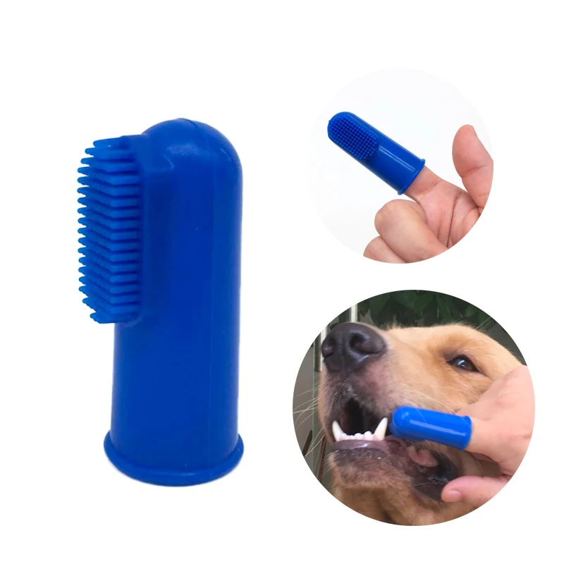 new dog toothbrush