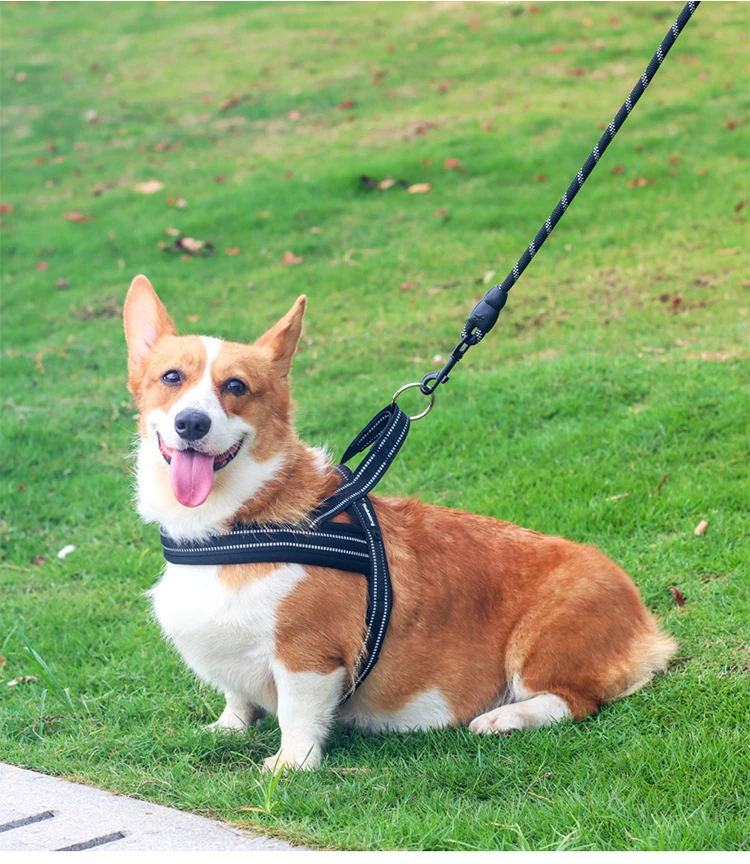 Soft Vest Neck Chest Adjustable Reflective Light weight Harness Anti-Twist Pet Lead Combo Dog Collar Leash And Harness Set