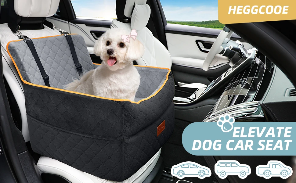 Dog booster car seat