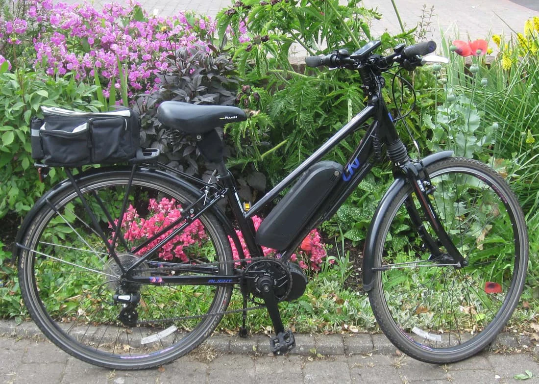 Drive Electric Bicycle Motor, BAFANG, BBS01, BBS02, 36V - detail 34
