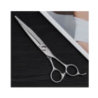 7 Inch Hairdressing Scissors Professional Hair Scissors Barber Shears Hair Cutting High Quality