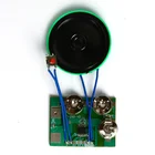 Easy Push Button Programmable Sound Module Customized Voice Chip Toys