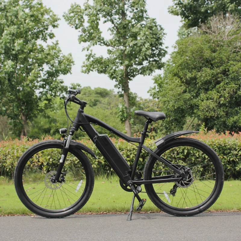 2021 electric powerful bicycle 26