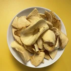 Hot Sale Crisp Juicy Nutritious Golden Delicious Red Royal Fresh Apple Chips