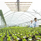 Led Led Dimmable Lm301b Led Grow Lights Full Spectrum Samsun Plant Hydroponic 600w 800w 1000w Sulight Led Grow Light