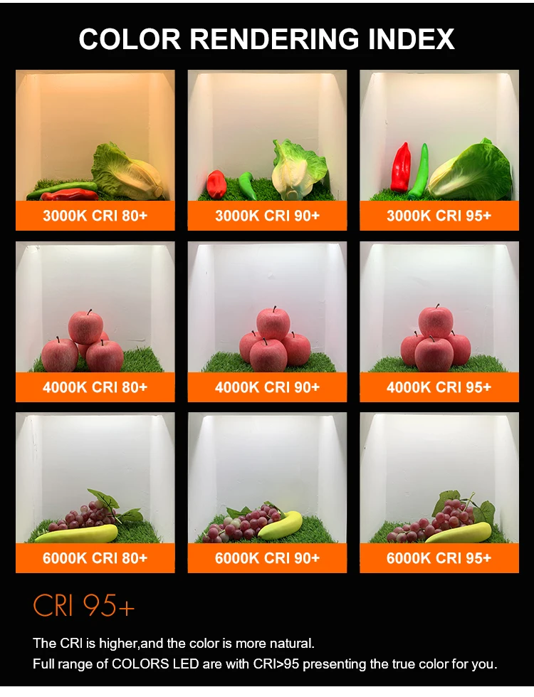 Flexible LED Light Strip SMD2835 DC24V 180LED/M 10MM Width 14W/M Living Room Bedroom Led Strip Light factory